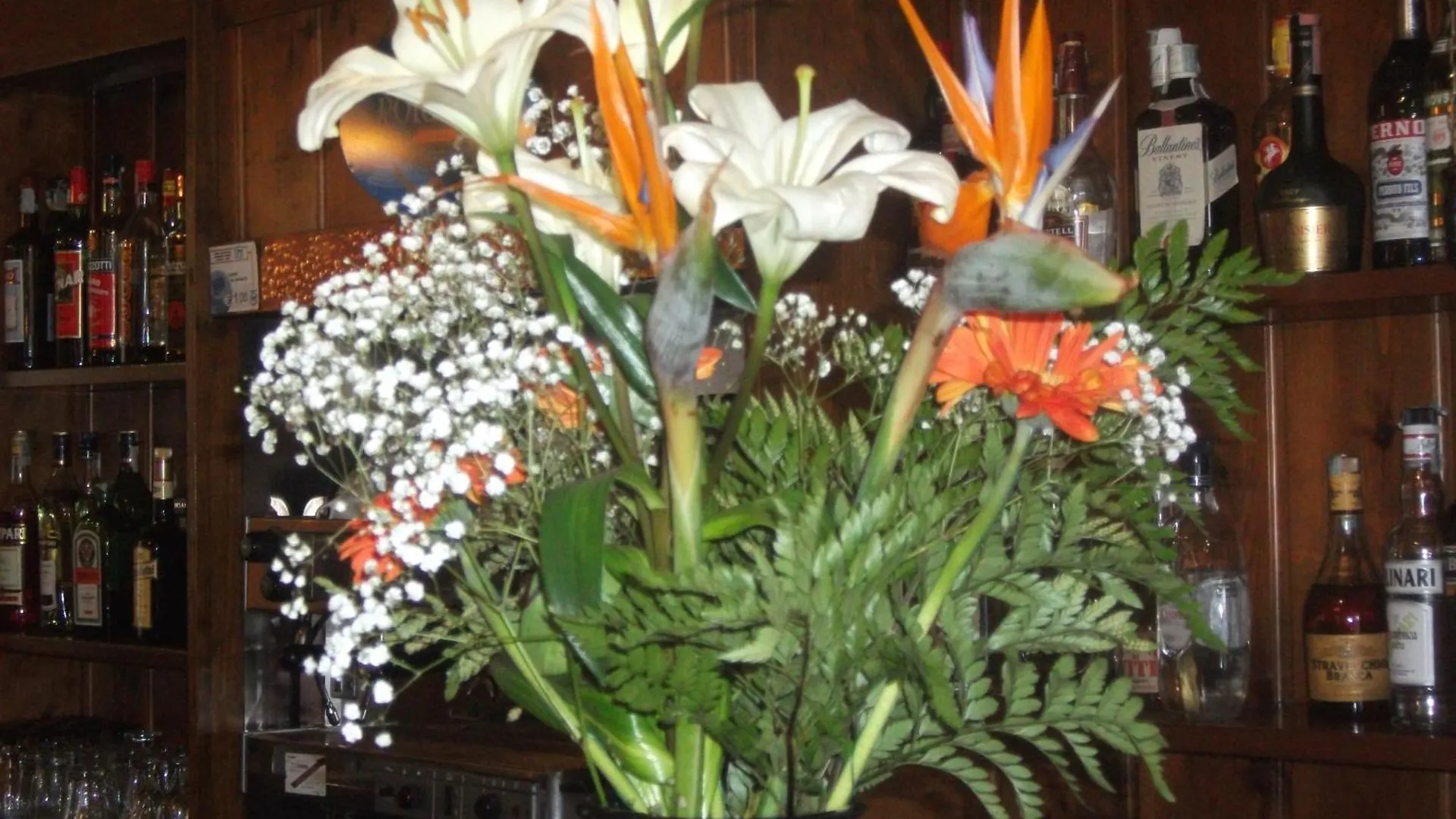Hotel Albergo Breglia Plesio
